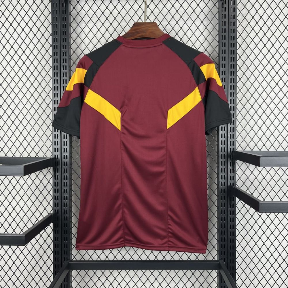 2024/2025  AS Roma Special Edition Football Jerseys (Fan Edition)