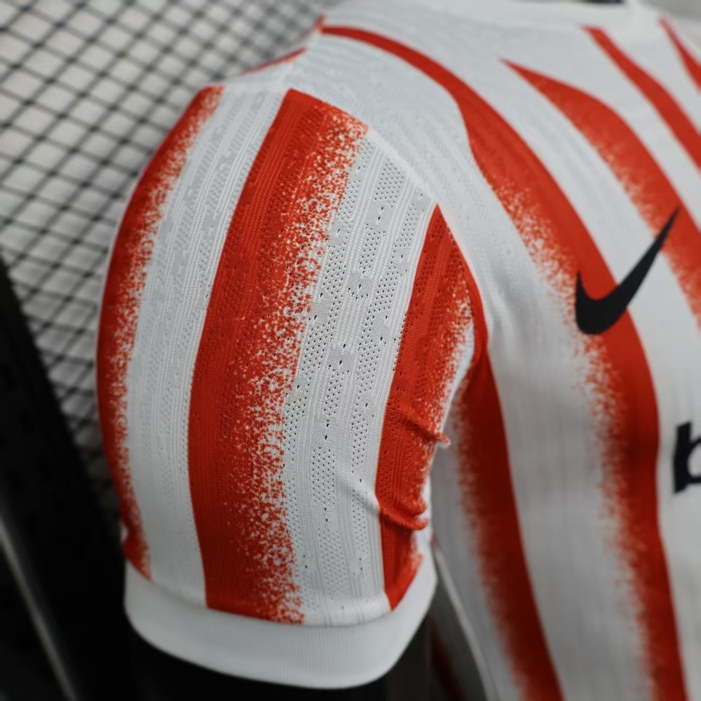 2025/2026 Inter Milan Special Edition Football Jerseys (Player Edition)