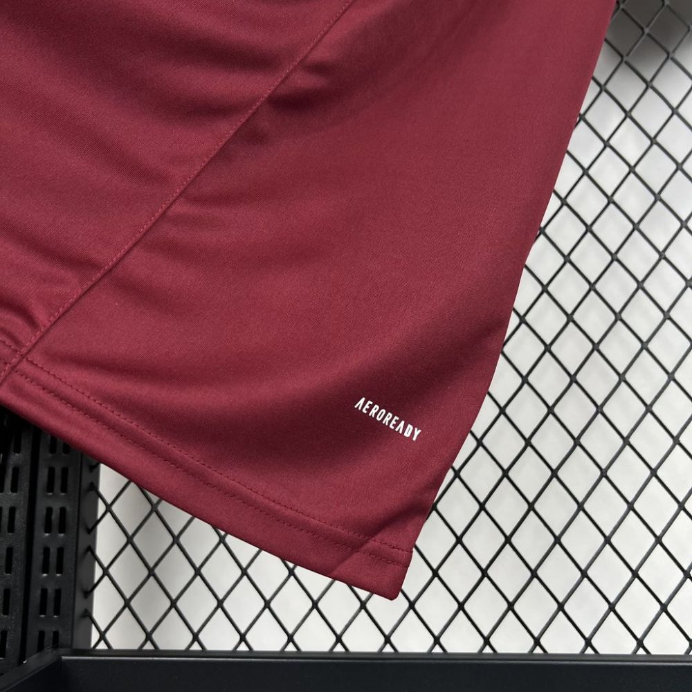 2024/2025  AS Roma Special Edition Football Jerseys (Fan Edition)