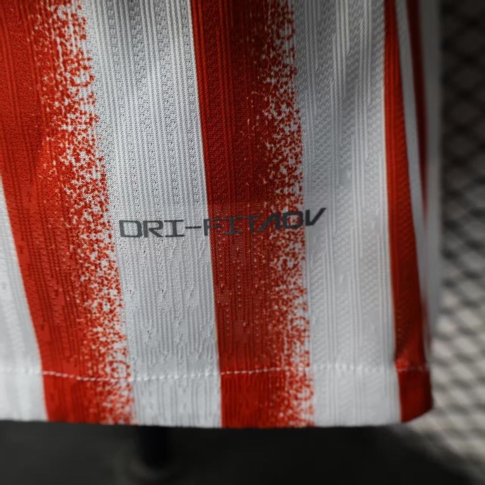 2025/2026 Inter Milan Special Edition Football Jerseys (Player Edition)