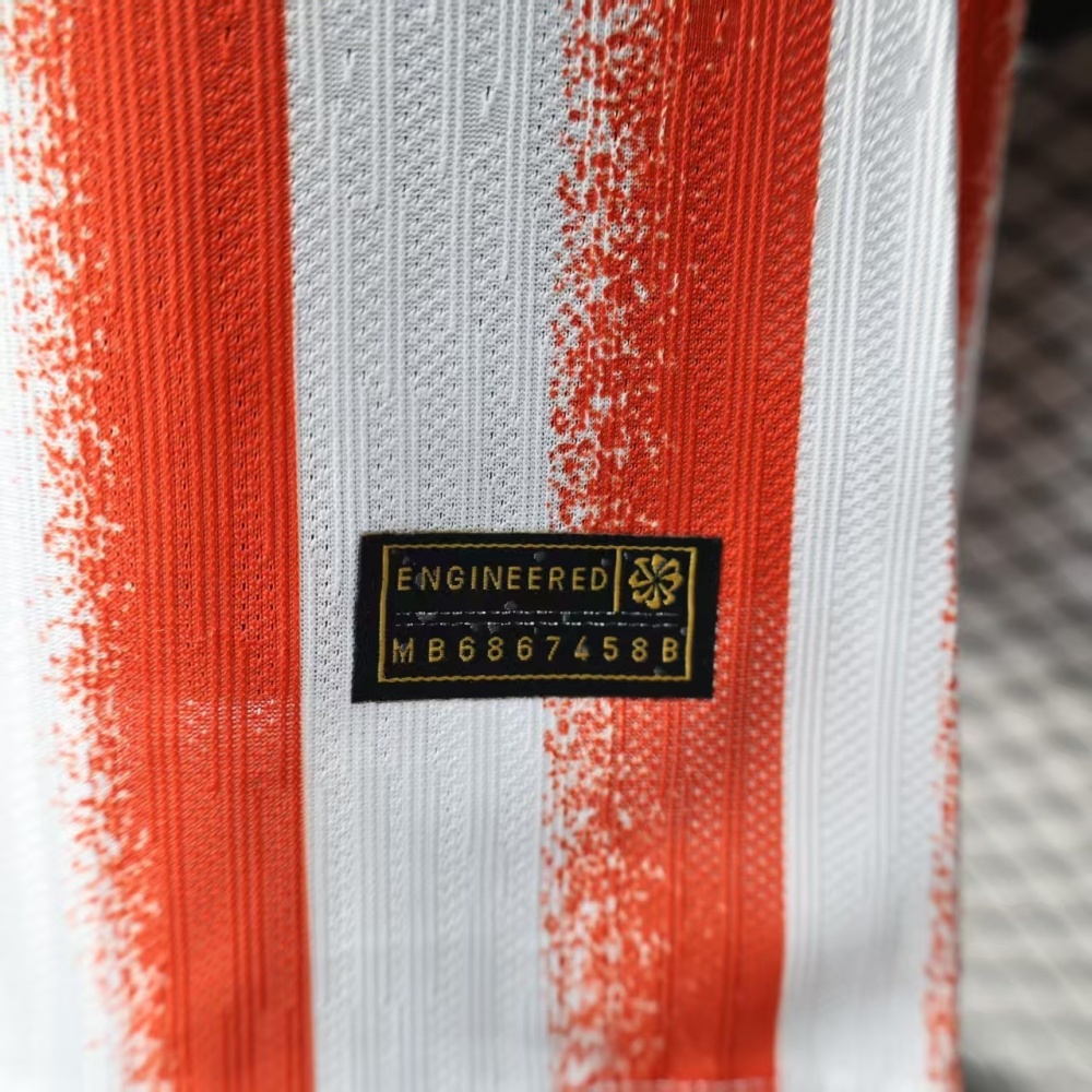 2025/2026 Inter Milan Special Edition Football Jerseys (Player Edition)