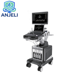 Color Ultrasonic Diagnostic Apparatus