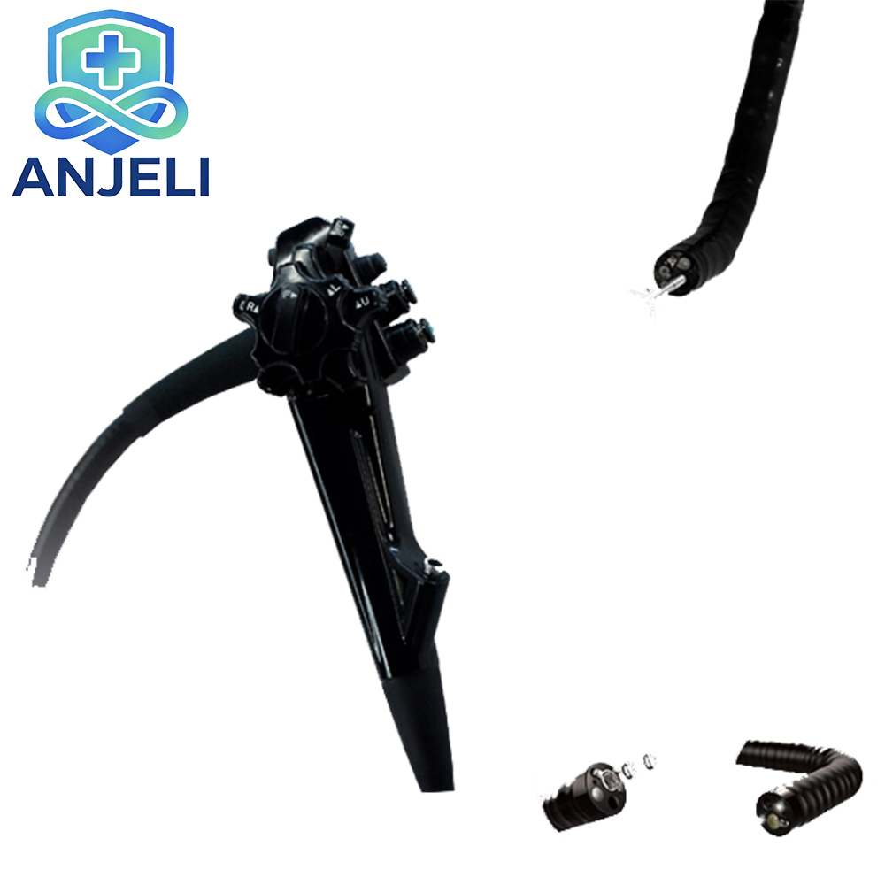 Electronic Flexible Endoscope