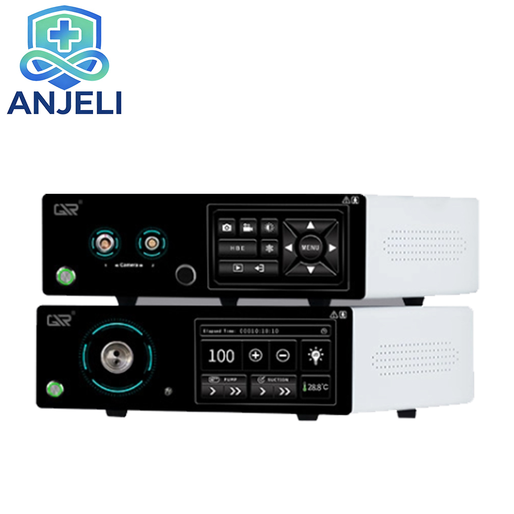 Electronic Flexible Endoscope
