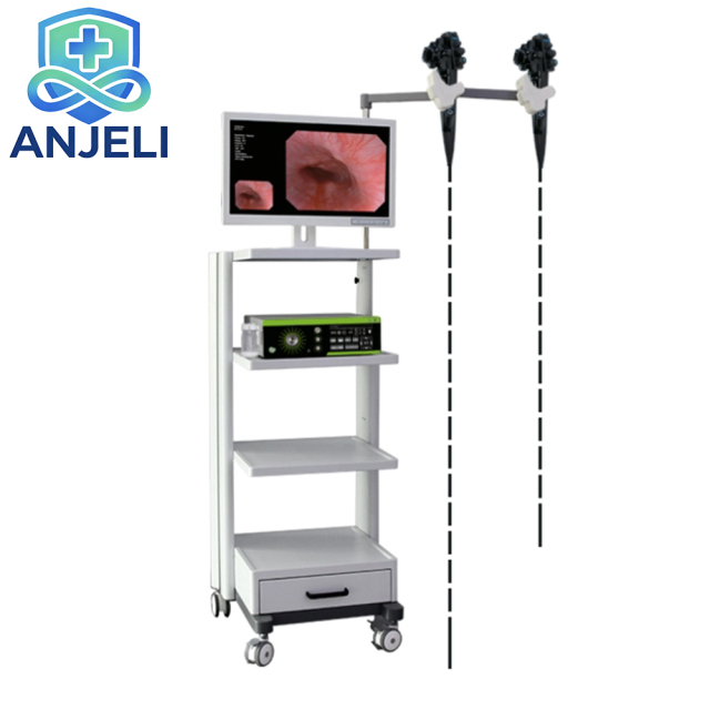 Electronic Flexible Endoscope