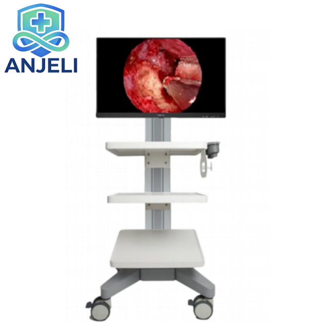 AJL-NJR910 Medical Rigid Endoscope Tower Sets,AJL-NJR910 Medical Rigid Endoscope Tower Sets