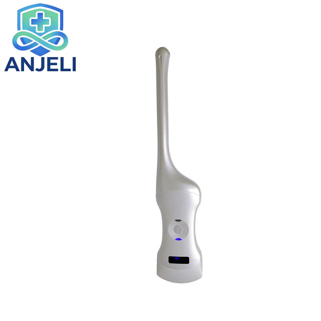 Double head Convex Probe +Trans-vaginal Probe
