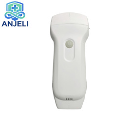 Double head Convex Probe +Trans-vaginal Probe