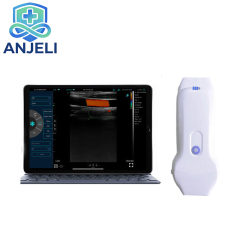 Handheld Dual probe, Color Ultrasound Phased Array Probe, Linear Array Probe