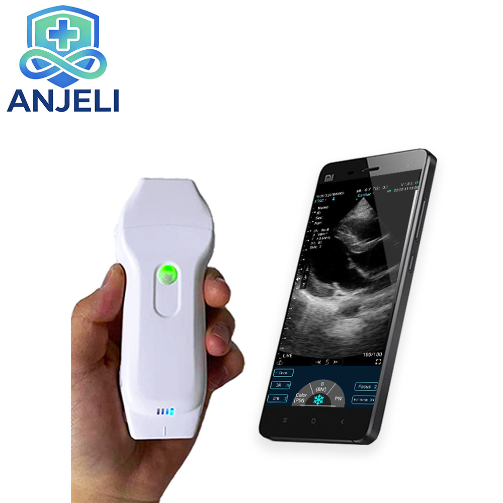 Handheld Dual probe, Color Ultrasound Phased Array Probe, Linear Array Probe