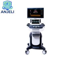 Color Doppler Ultrasound System