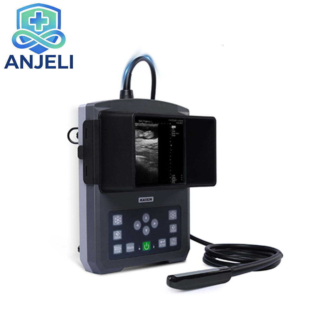 Veterinary Full Digital Ultrasonic Diagnostic Instruments