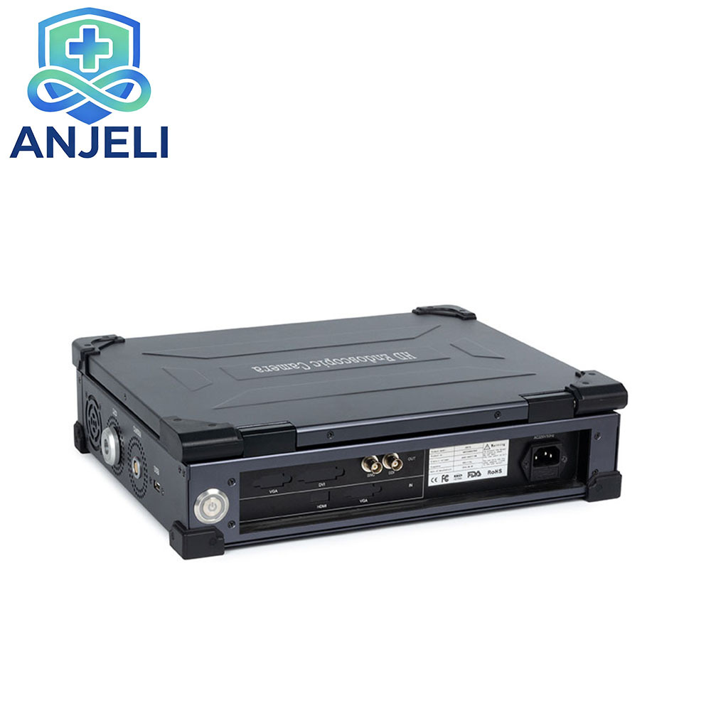 Full HD Endoscopic System. Portable Endoscope AJLES-HD310,Full HD Endoscopic System. Portable Endoscope AJLES-HD310