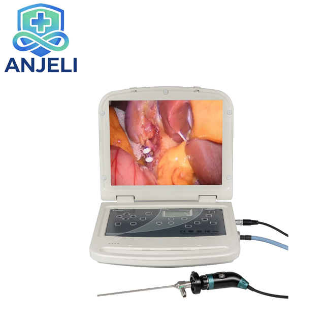 Full HD Endoscopic System. Portable Endoscope AJLES-HD310,Full HD Endoscopic System. Portable Endoscope AJLES-HD310