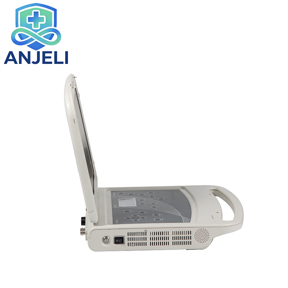 Full HD Endoscopic System. Portable Endoscope AJLES-HD310,Full HD Endoscopic System. Portable Endoscope AJLES-HD310