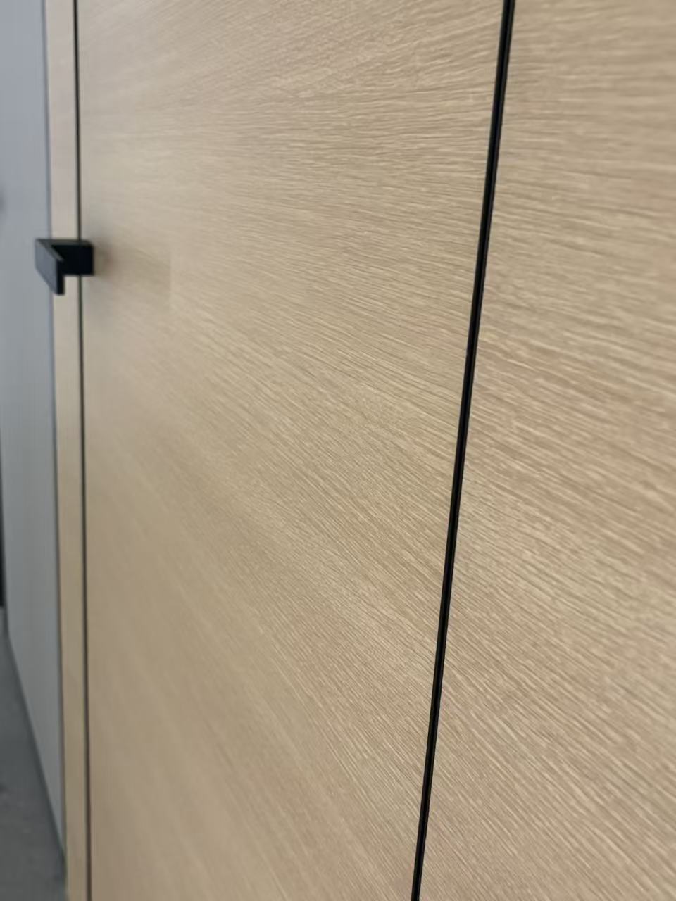 Eco door