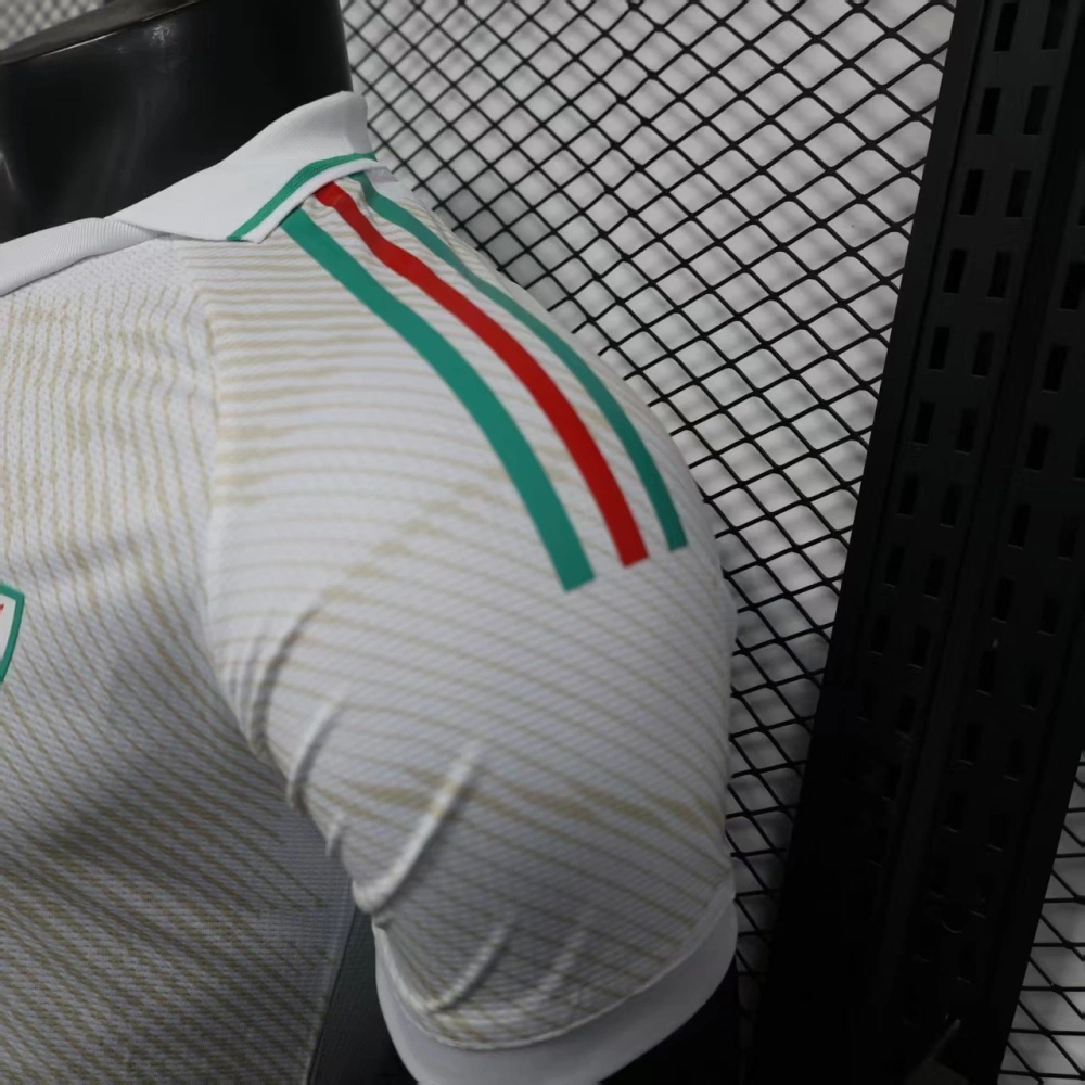 2026 Wales World Cup Away Football jersey Player edition