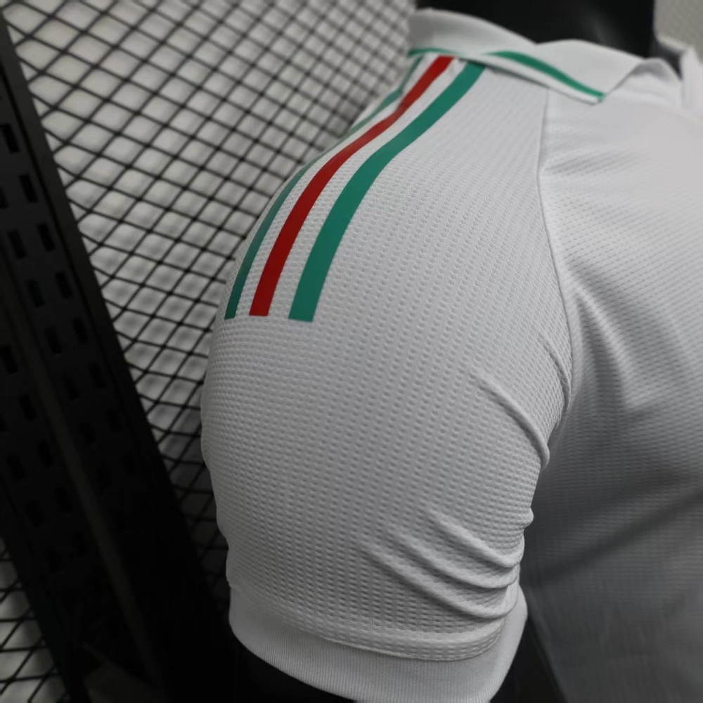 2026 Wales World Cup Away Football jersey Player edition