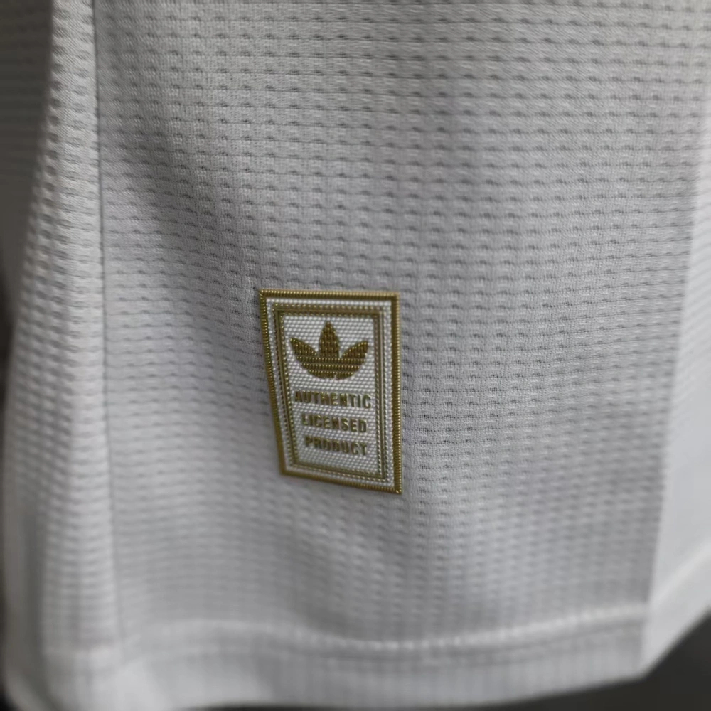 2026 Wales World Cup Away Football jersey Player edition