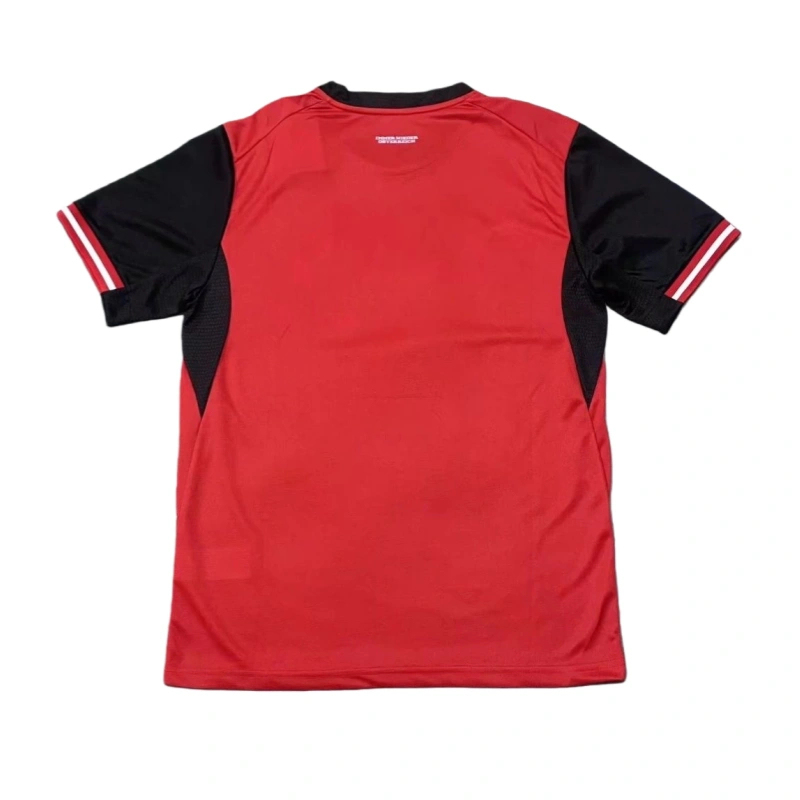 2026 Austria World cup Home Football jersey Fan version