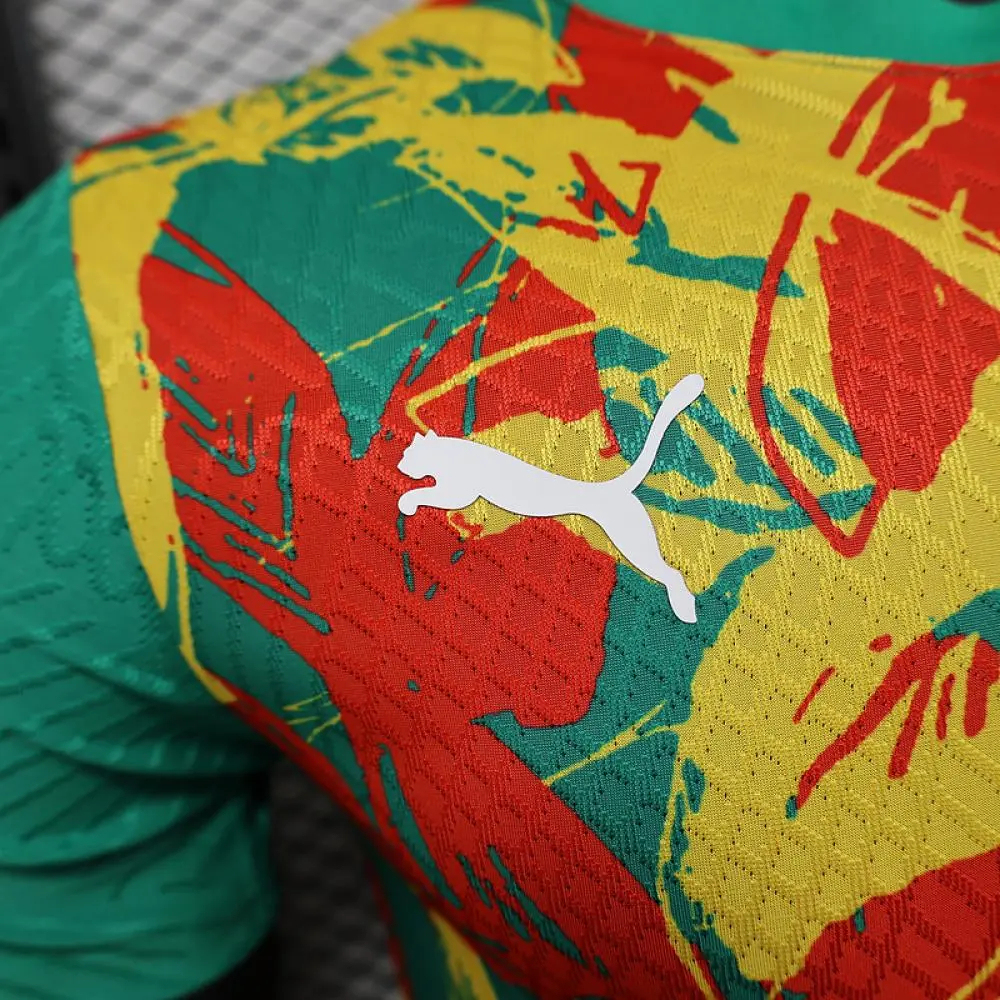 Senegal Authentic Soccer Jersey Training Shirt 2025