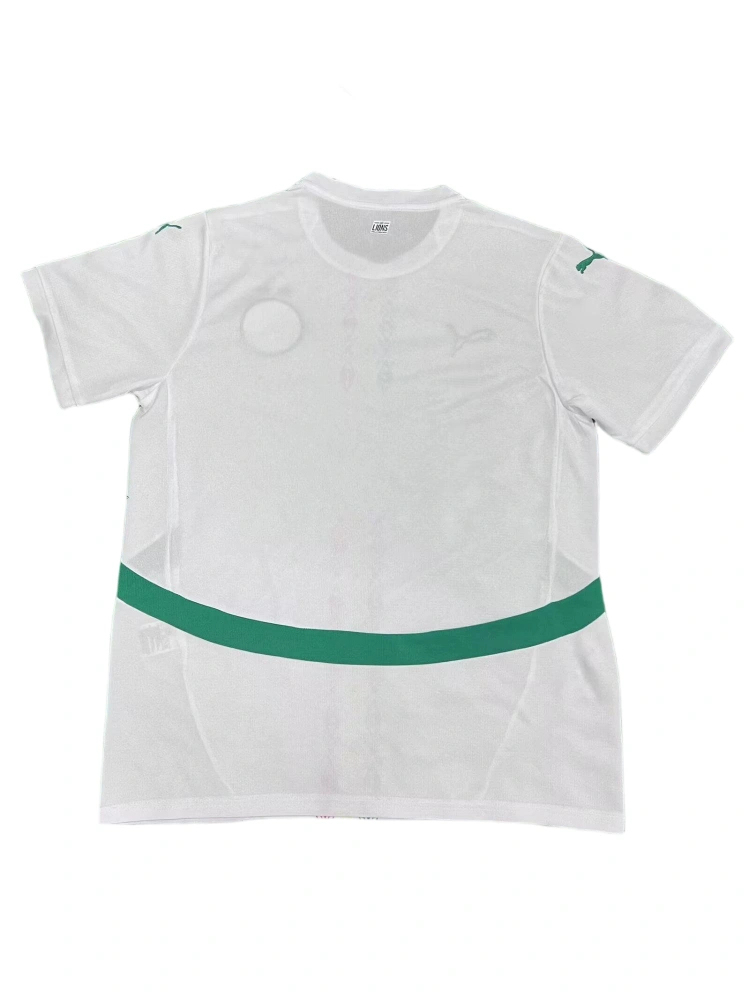Senegal Soccer Jersey Home Custom Shirt 2025 - Two Stars