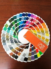 Pre-painted Steel Coil (PPGI/PPGL)