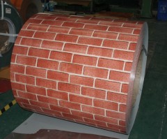 Pre-painted Steel Coil (PPGI/PPGL)