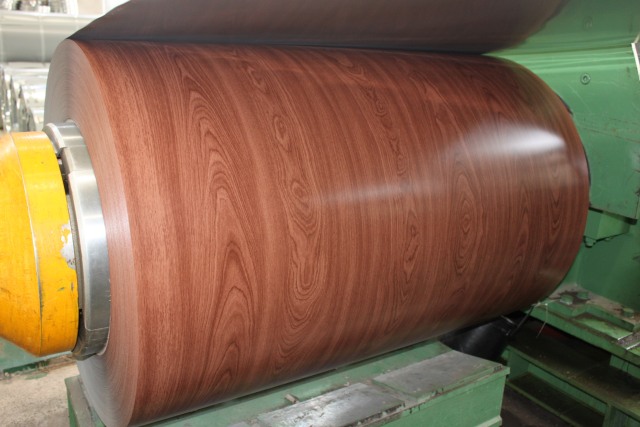 Pre-painted Steel Coil (PPGI/PPGL)