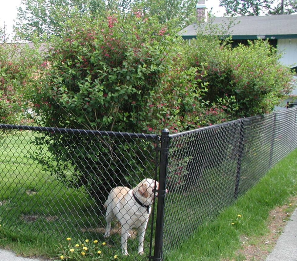 Chain link fence