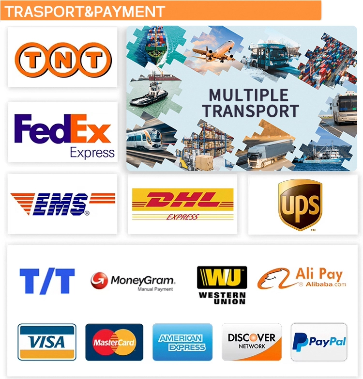 Payment and Shipping