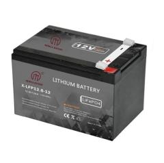 LiFePO4 battery 12.8V 12AH