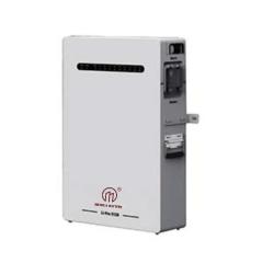 Wall Mount Lithium Battery 51.2V 100AH 200AH Powerwall Lithium battery