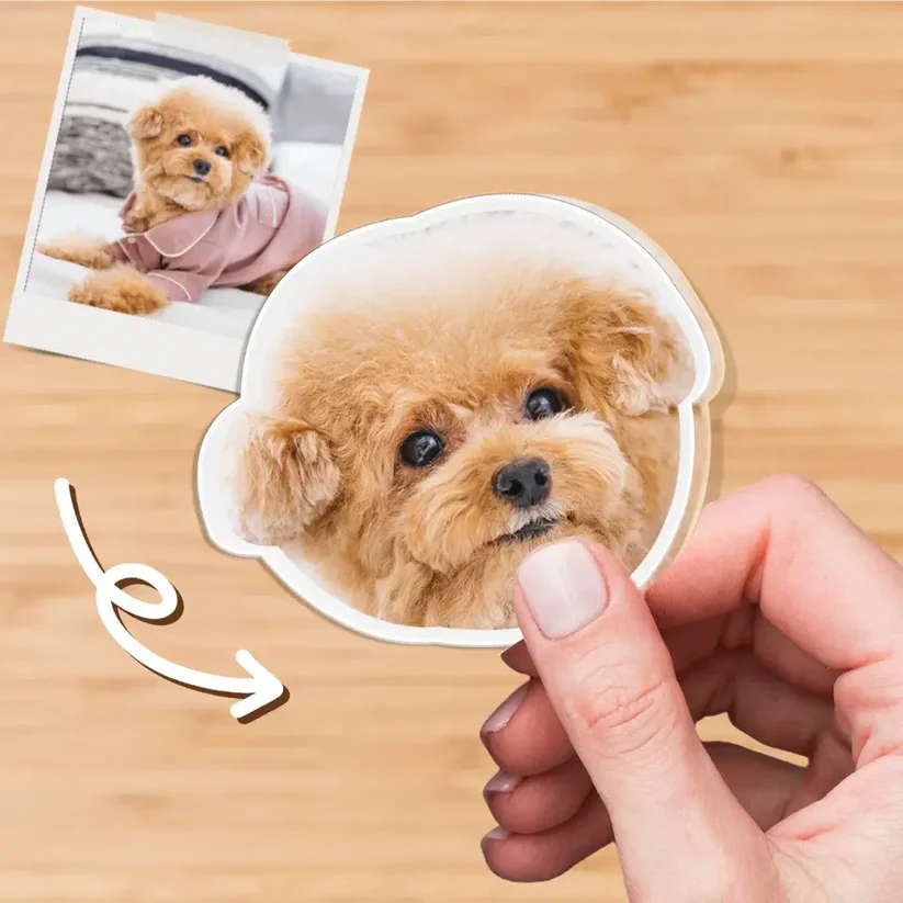 Digital Printing Process Custom refrigerator magnets