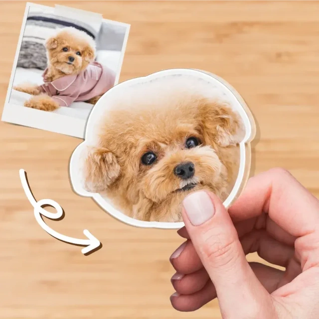 Digital Printing Process