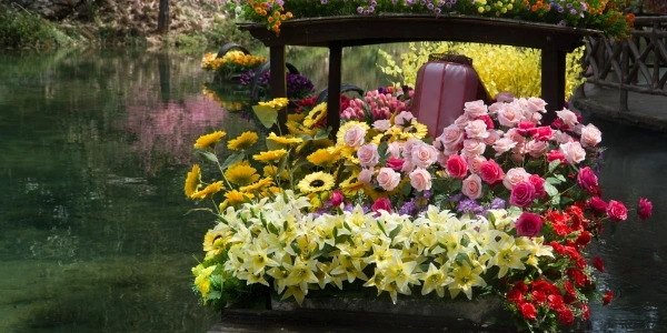 1-Day Guangzhou Tour,China Tour,1-Day Guangzhou Tour