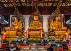 Beijing - Xi'an - Shanghai Cultural and Urban 9-Day Tour,China Tour,Beijing - Xi'an - Shanghai Cultural and Urban 9-Day Tour-China Tour