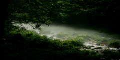9-Day Trip to Shanghai-Zhangjiajie-Guangzhou: Metropolis & Mountains,PRChina China Tour,9-Day Trip to Shanghai-Zhangjiajie-Guangzhou: Metropolis & Mountains-PRChina China Tour