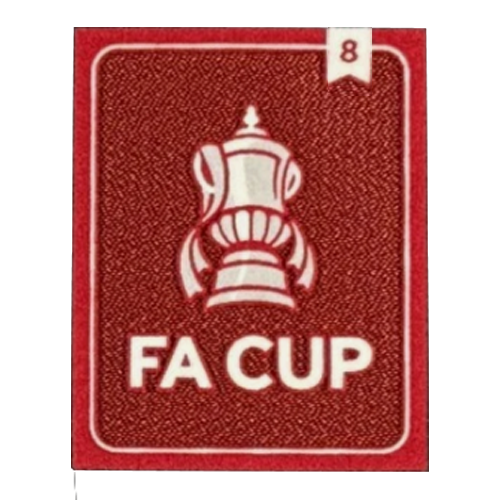 FA CUP 8