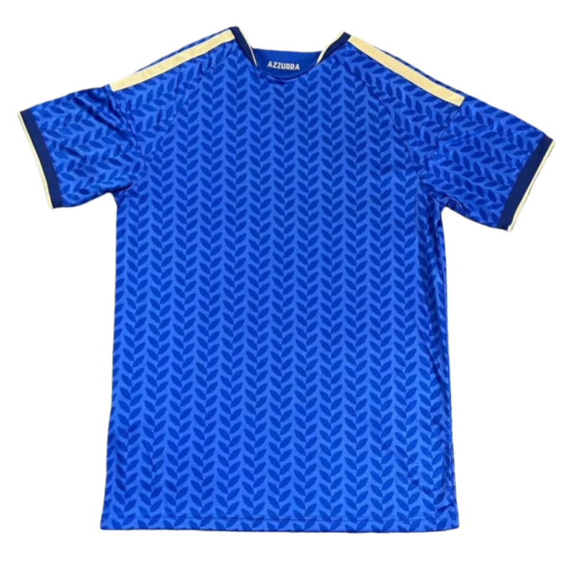 2026 ltaly World Cup Home Football jersey Fan version