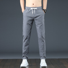 2022 Summer New Design Fashion Style Slim Fit Sport Trousers Quick-Dry Men's Casual Pants