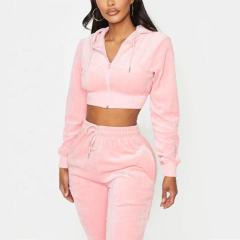 Women Loose Two Piece Pants Hoodie Set Casual Plain Blank Hooded Womens Biker Shorts Jogging Sportswear Set Clothing