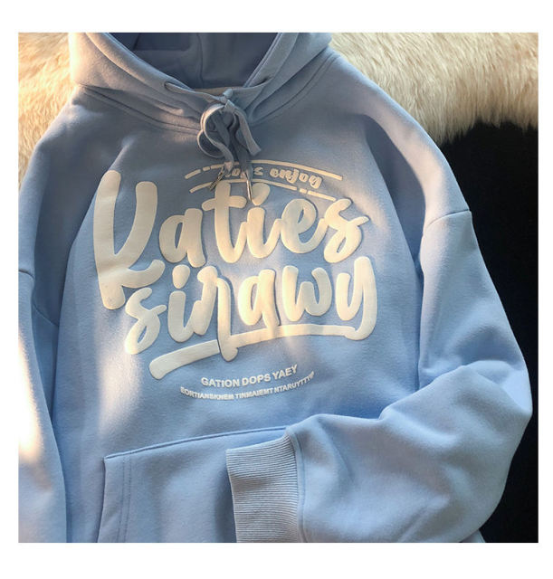 Premium French Terry Street Wear Hoodies For Unisex Custom Plain Oversized Foam Screen Print 3d Puff Printing Graphic Hoodies