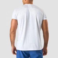 Wholesale High Quality 100%polyester Men Gym T Shirt Breathable Mesh Training Tee Button Neck Polo Shirt Men