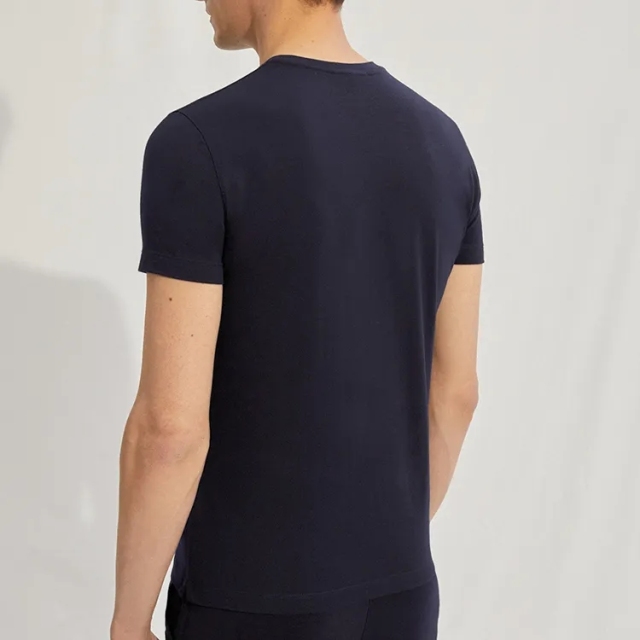 Men's 100% Cotton High Quality Custom Logo Blank T Shirts Normal Fitting Crew Neck Slim Fit T-shirts For Men