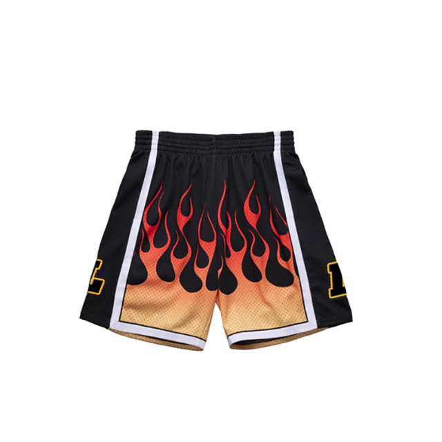 Training Mesh Shorts For Men