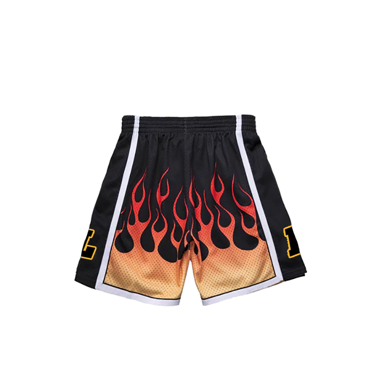 Training Mesh Shorts For Men