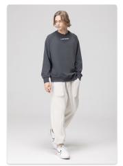 2024 Oversize Hip Hop Boxy Fit Blank Sweatshirts Crew Neck Heavy Cotton Polyester Crewneck Custom Sweatshirt For Men