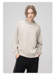 2024 Oversize Hip Hop Boxy Fit Blank Sweatshirts Crew Neck Heavy Cotton Polyester Crewneck Custom Sweatshirt For Men