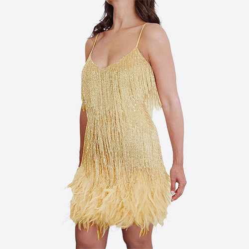 Ecoparty 1920s Art Deco Fringed Sequin Dress Flapper Gatsby Costume Dress for Women